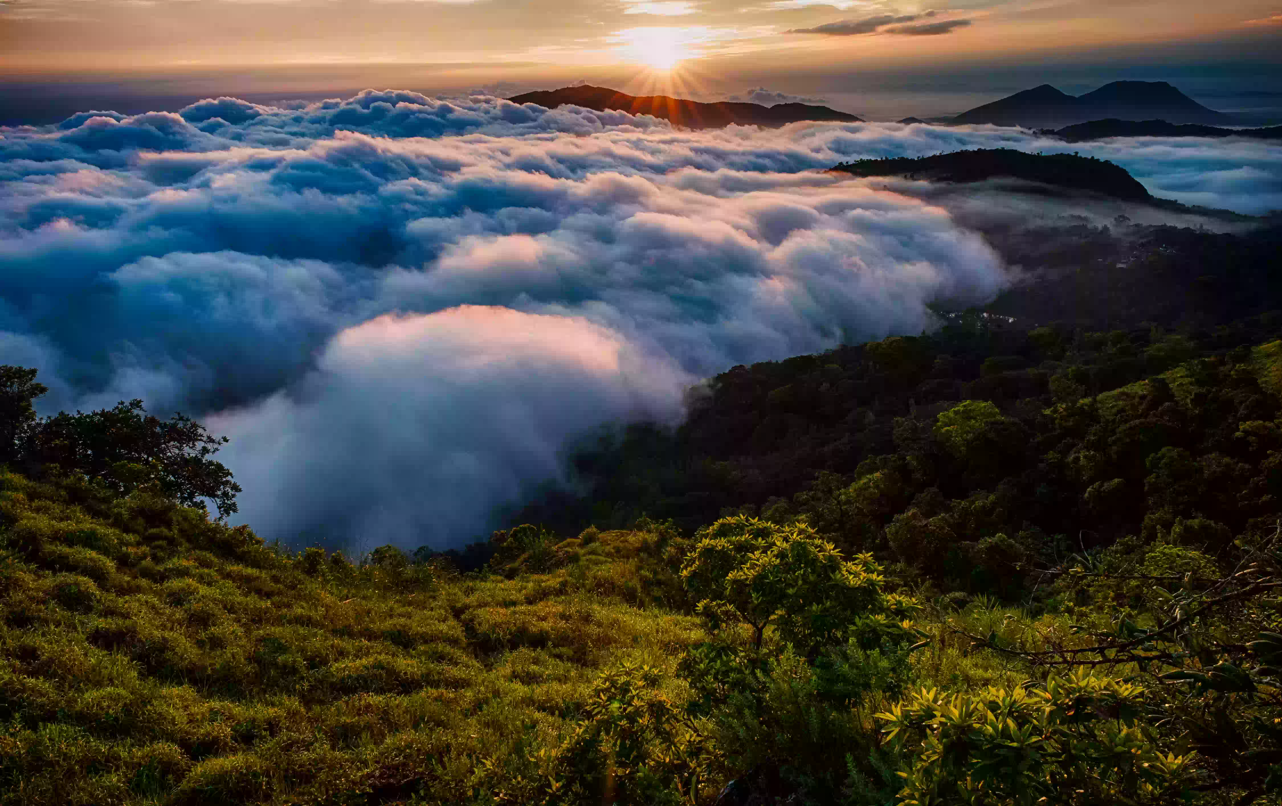 Exhibitions Exhibitions